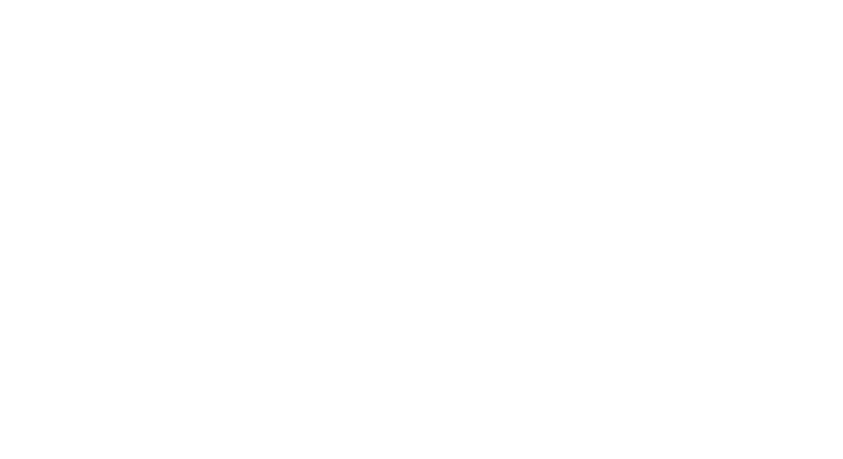 Republic Systems mark